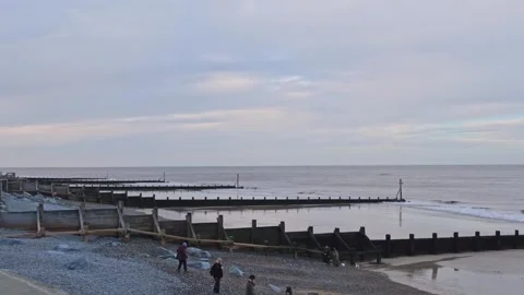 Dog walkers on the beach Stock-Footage 260157535