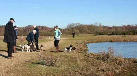 Dog walkers at Greenham Common (two) Stock Footage 10903104