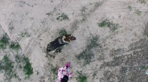 Dog Walking, and Jumping Over a Drone 動画素材 61807553