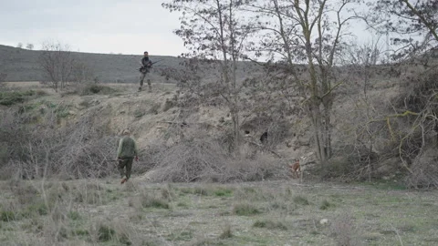 A dog walking around the burrow with two hunters Stock Footage 270259191