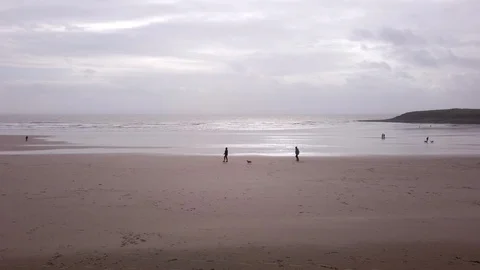 Dog Walking on Beach in Winter Stock Footage 125848586