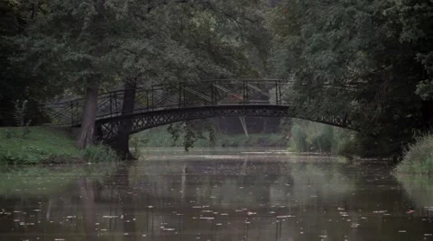 Dog walking on the bridge in the park Video stock 67625930