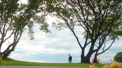 Dog walking on the coast 스톡 동영상 64564259