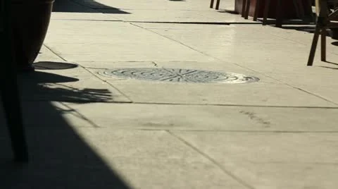 Dog Walking Stock Footage 11441498