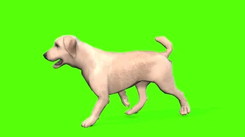 dog walking animation