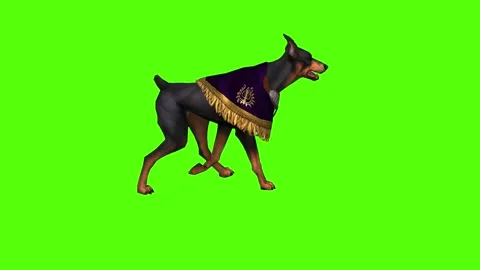 Dog Walking Green Screen Animation 4K Rendering Stock Footage 295558007