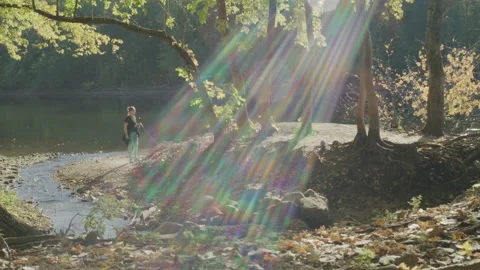 Dog Walking in the Park Stock Footage 232441766