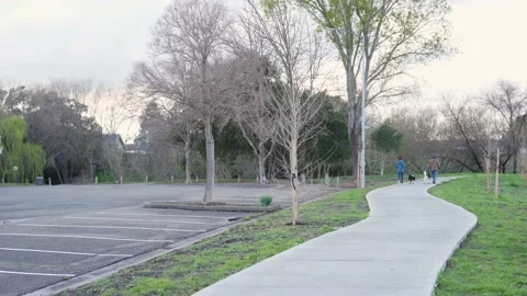 Dog Walking At Park Stock Footage 236182374