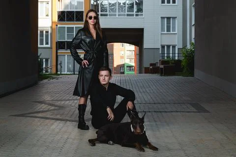 Dog walking Stock Photos