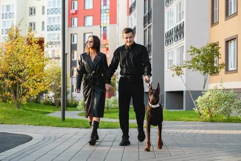 Dog walking Stock Photos