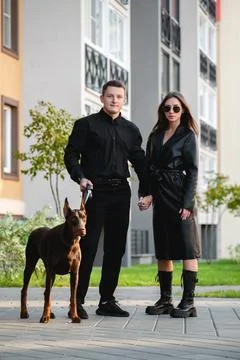 Dog walking Stock Photos