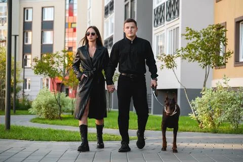 Dog walking Stock Photos