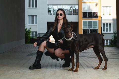 Dog walking Stock Photos