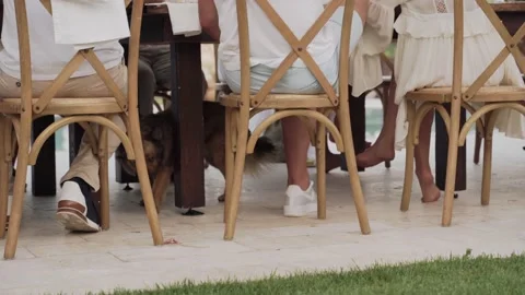 Dog walking under the table when family celebrating Stock Footage 170423015