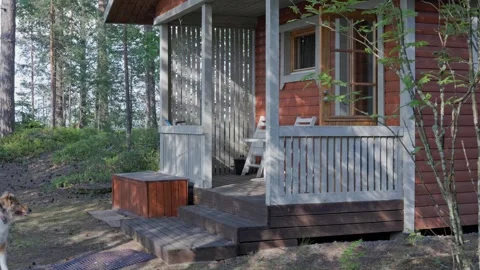 Dog walks down the wooden step of an outdoor sauna. Stock Footage 344903176