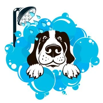 Dog washing in soap bubbles Stock Illustration
