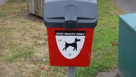 Dog waste Stockbeeldmateriaal 92263805