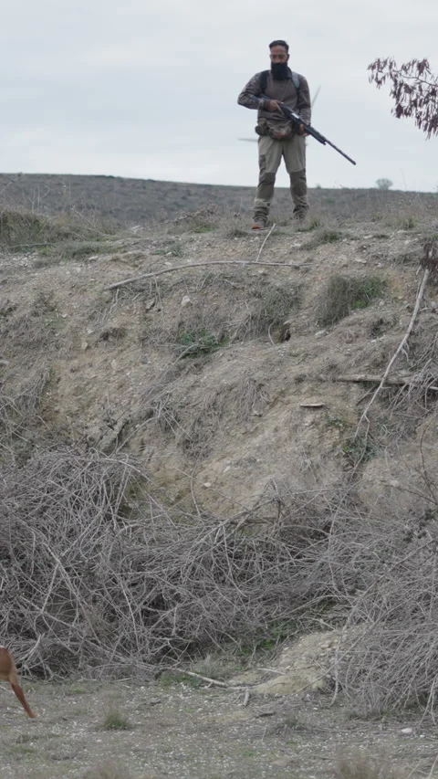 A dog is watching around while the hunter is attentive Stock Footage 271637284