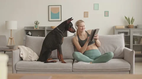 Dog Watching Owner Using Tablet Computer Video stock 156074896