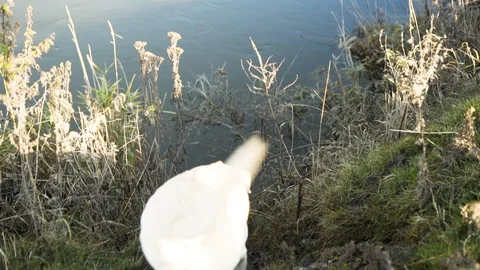 Dog in water 動画素材 99049888