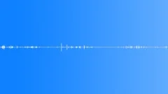 Dog wheaten terrierSound Effect