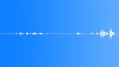 Dog wheaten terrierSound Effect