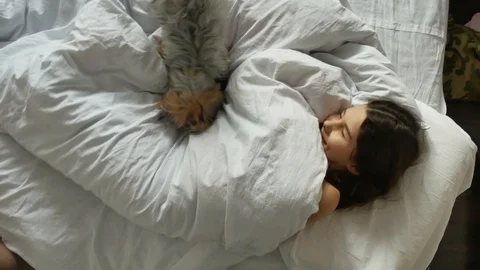 The dog will be a little sleeping girl. the girl is sleeping and the shaggy dog Video stock 87300653