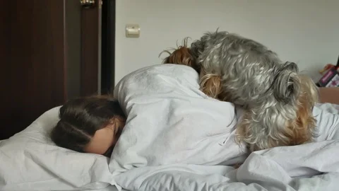 The dog will be a little sleeping girl. the girl is sleeping and the shaggy dog Video stock 87536664
