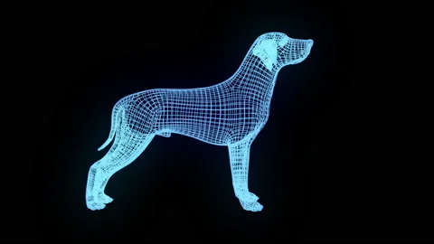 Dog wireframe Stock Footage 224094243