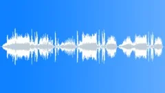 Dog Wolf Coyote Dogs Wolves Coyotes Dogs Doberman Pinschers Close Up 2 Dogs Bar Sound Effect