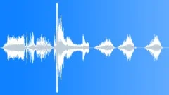 Dog Wolf Coyote Dogs Wolves Coyotes Dogs Doberman Pinschers Close Up 2 Dogs Bar Sound Effect