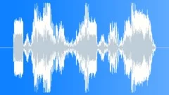 Dog Wolf Coyote Dogs Wolves Coyotes Dogs Doberman Pinschers Close Up Pack Of ViSound Effect