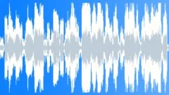Dog Wolf Coyote Dogs Wolves Coyotes Dogs Doberman Pinschers Close Up Pack Of Vi Sound Effect