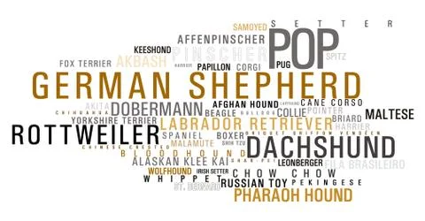 Dog word cloud Stock Photos