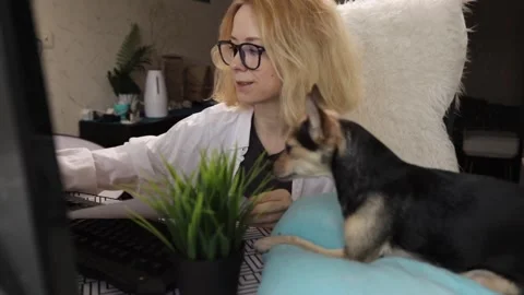Dog at workplace, remote work, canine companion, home office. freelance wor.. Stock Footage 265679372