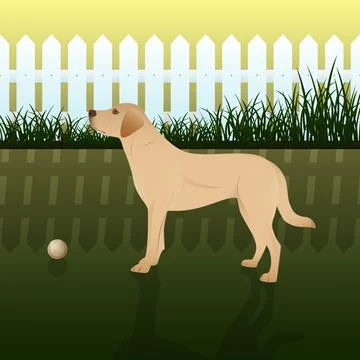 Dog in the yard Stock Illustration