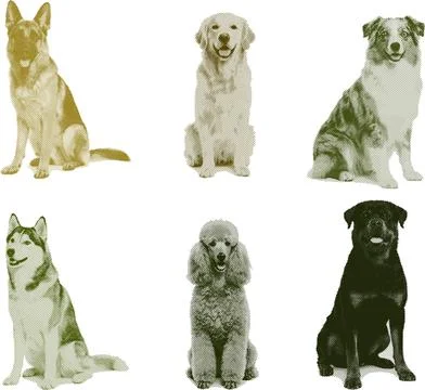 Dog1 Ilustração Stock