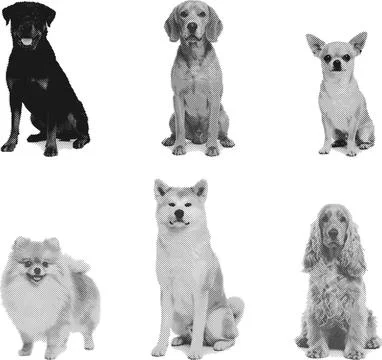 Dog2 Stock-Illustration