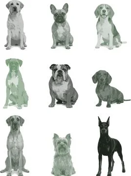 Dog3 Ilustração Stock