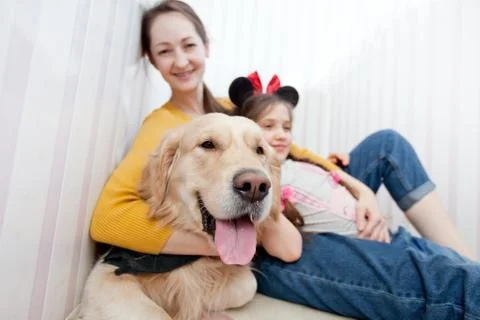 Dog_16 Stock Photos