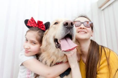 Dog_28 Stock Photos