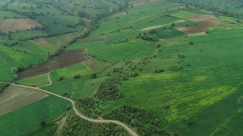 Doga tarla 2 Stock Footage 102173686