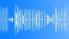 DOG,BLOODHOUNDSound Effect