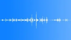 DOG,BULL TERRIER Sound Effect