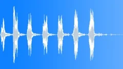 DOG,COLLIESound Effect