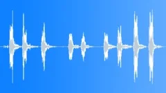 DOG,COLLIESound Effect