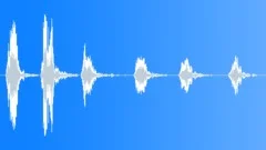 DOG,COLLIESound Effect