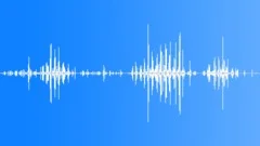 DOG,DRINKINGSound Effect