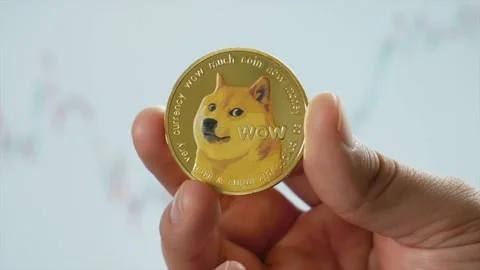 DOGE COIN IN HAND Stock Footage 163997683