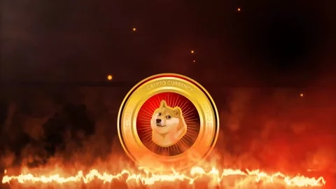 Doge Coin Rotating Effect On Fire Green  